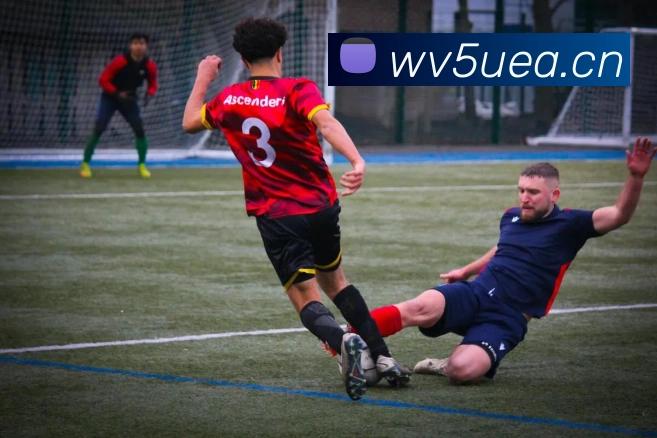 多媒体互动体验