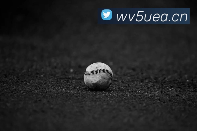 华体网首页官网APP 高清赛事图